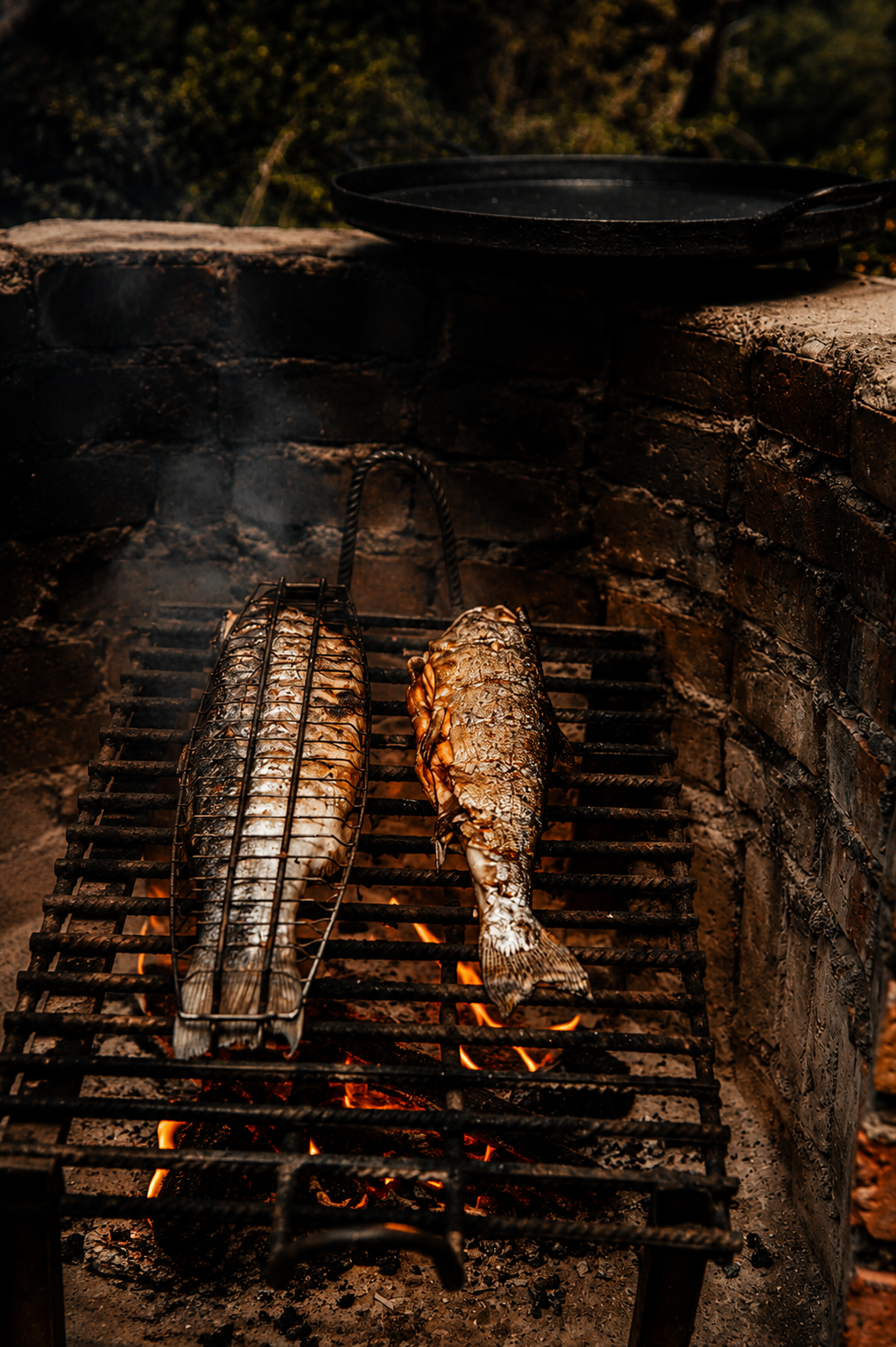 Para Peixe